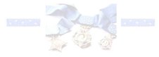 Congressional Medal of Honor